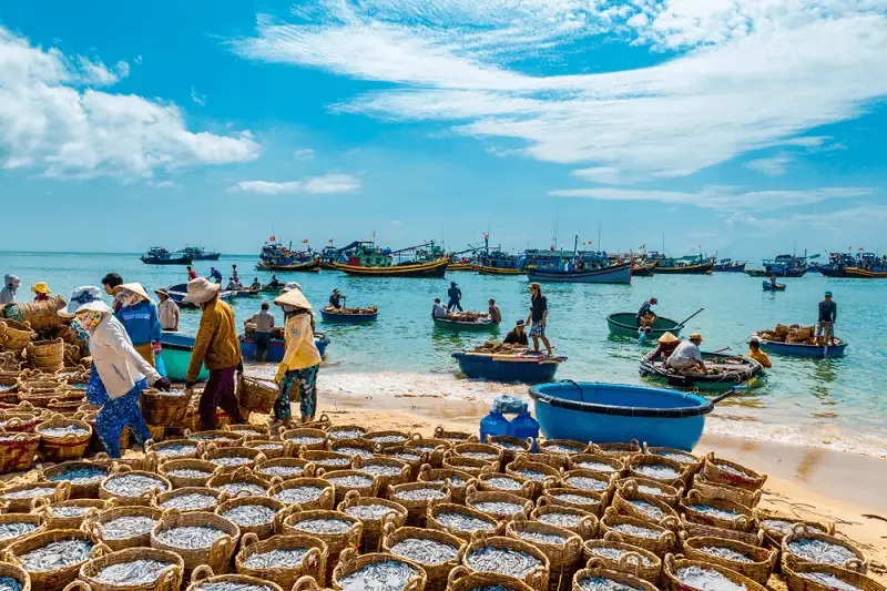 Du lịch Phan Thiết tháng 5: Thời tiết, sự kiện, hoạt động không nên bỏ lỡ 5