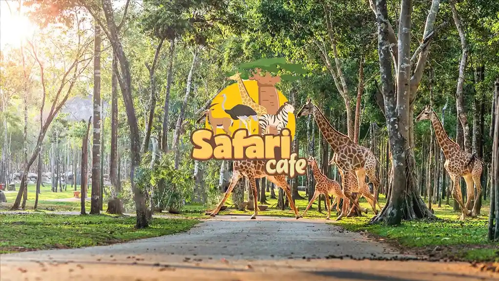 Du lịch Phan Thiết tháng 6: Thời tiết, sự kiện, hoạt động không nên bỏ lỡ 3