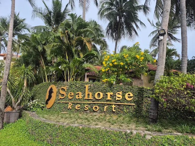 Đánh giá Seahorse Resort & Spa - Resort xanh mát, gần biển, dịch vụ ân cần 13
