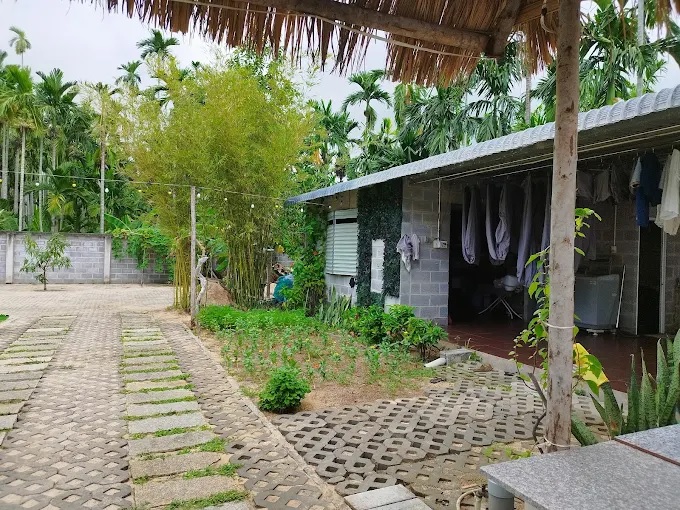 Đánh giá Areca Muine Homestay &#8211; Không Gian Xanh, Giá Dễ Thở