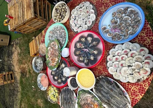 Đánh giá Areca Muine Homestay &#8211; Không Gian Xanh, Giá Dễ Thở