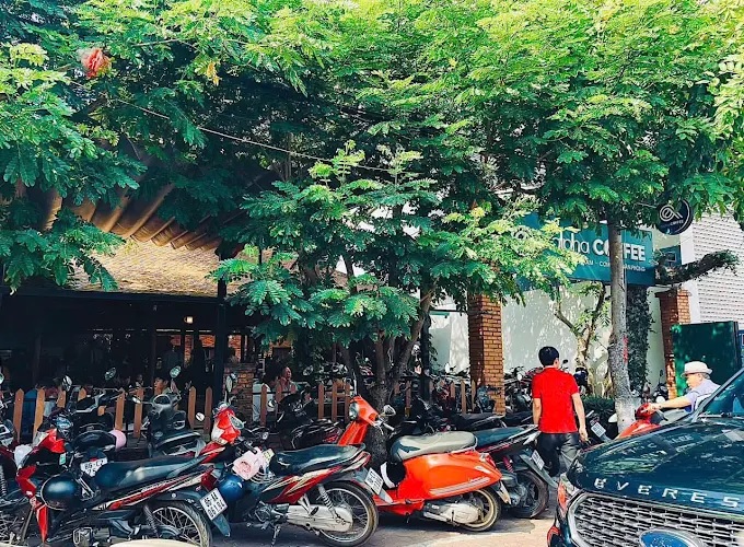 Đánh giá quán Alpha Coffee - Cà phê sáng, điểm tâm chuẩn vị, đáng để thử 6
