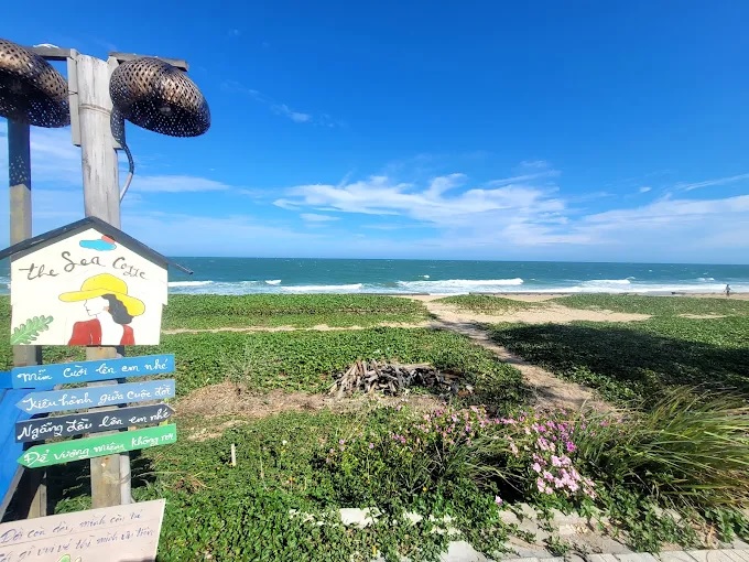 Đánh giá quán The Sea Coffee &#8211; Review chân thực từ trải nghiệm cá nhân