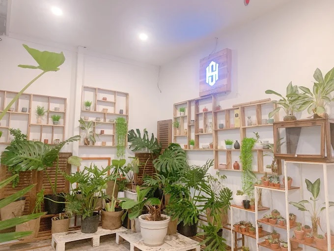 Đánh giá quán trà sữa S&H MILK TEA COFFEE - “điểm hẹn trà sữa quốc dân” ngay giữa Phan Thiết 1